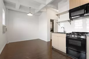 1325 W Wilson Ave, Chicago, IL 60640 - Photo 4