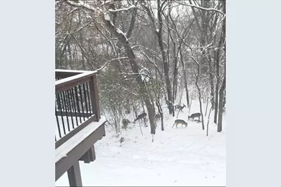 927 Treeline Court, Lockport, IL 60441 - Photo 38