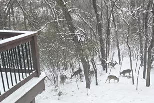 927 Treeline Ct, Lockport, IL 60441 - Photo 38