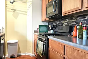 2323 W Pershing Rd, Chicago, IL 60609 - Photo 14