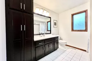 9218 S Albany Ave, Evergreen Park, IL 60805 - Photo 26