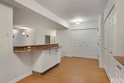 230 E Ontario Street #905, Chicago, IL 60611 - Photo 6