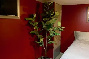 7235 W Barry Ave, Chicago, IL 60707 - Photo 42