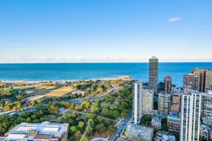 1560 N Sandburg Terrace, Chicago, IL 60610 - Photo 32