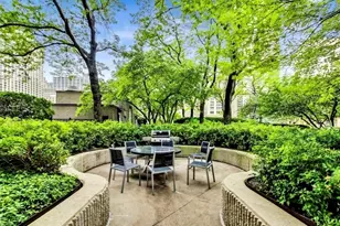 10 E Ontario St, Chicago, IL 60611 - Photo 24