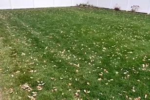 6101 W 127th St, Palos Heights, IL 60463 - Photo 22