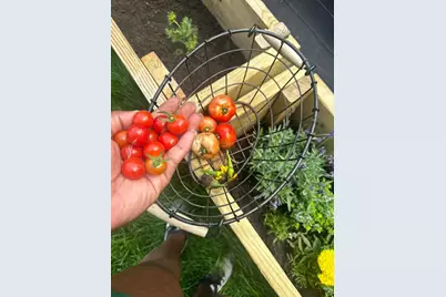 129 Cornwall Drive, Crete, IL 60417 - Photo 28