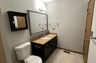 411 Village Creek Dr, Lake in the Hills, IL 60156 - Photo 14