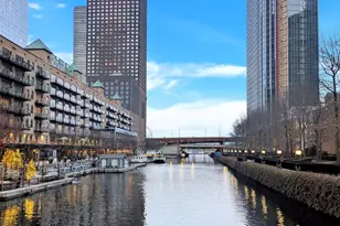 480 N McClurg Ct, Chicago, IL 60611 - Photo 2