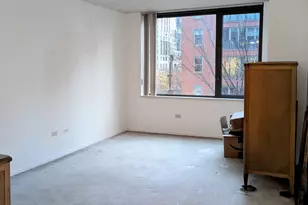 480 N McClurg Ct, Chicago, IL 60611 - Photo 10