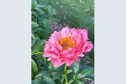 [Address not provided], Saint John, IL 61873 - Photo 16