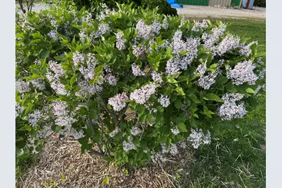[Address not provided], Saint John, IL 61873 - Photo 18