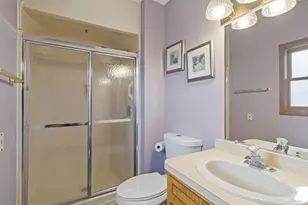 207 Hill St, Willow Springs, IL 60480 - Photo 10