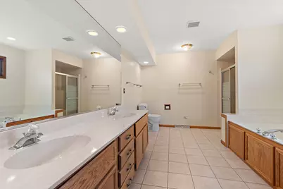 613 McDivitt Drive, New Lenox, IL 60451 - Photo 30