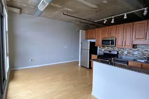 1550 S Blue Island Ave, Chicago, IL 60608 - Photo 2