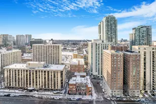 111 W Maple St, Chicago, IL 60610 - Photo 10