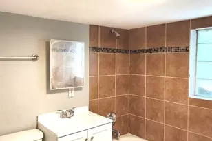 253 W 118th St, Chicago, IL 60628 - Photo 12