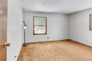 10 Pine Ave, Lake Zurich, IL 60047 - Photo 10