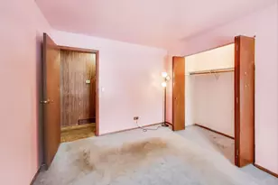 10 Pine Ave, Lake Zurich, IL 60047 - Photo 18