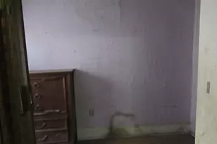 2943 W 25th Pl, Chicago, IL 60623 - Photo 6