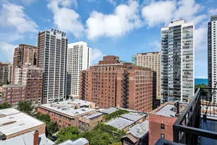 450 W Briar Pl, Chicago, IL 60657 - Photo 32