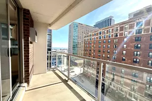 420 W Belmont Ave, Chicago, IL 60657 - Photo 28