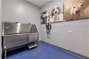 420 W Belmont Ave, Chicago, IL 60657 - Photo 24