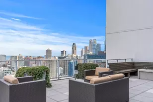 303 W Ohio St, Chicago, IL 60654 - Photo 30