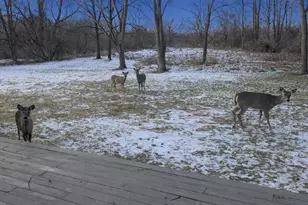 41W229 Colson Dr, Saint Charles, IL 60175 - Photo 2