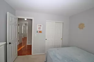 505 Cypress Bridge Rd, Lake Zurich, IL 60047 - Photo 44