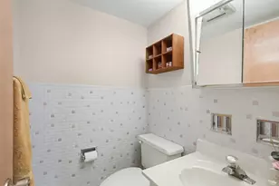 5300 Walnut Ave, Downers Grove, IL 60515 - Photo 10