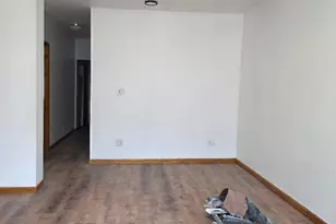 2949 S Emerald Ave, Chicago, IL 60616 - Photo 10