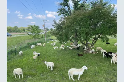 3303 E Exchange Street, Crete, IL 60417 - Photo 36