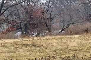 3303 E Exchange St, Crete, IL 60417 - Photo 34