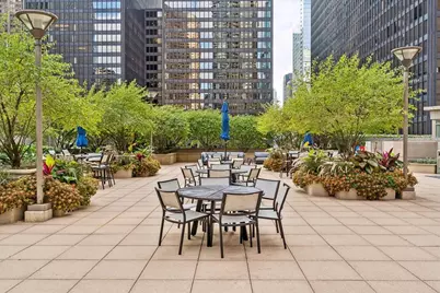 222 N Columbus Drive #806, Chicago, IL 60601 - Photo 8