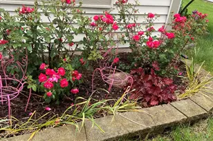 4407 Klatt St, Plano, IL 60545 - Photo 20