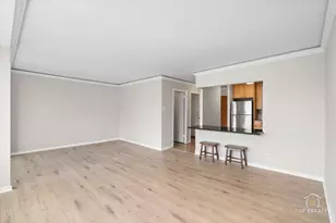 211 E Ohio St, Chicago, IL 60611 - Photo 6