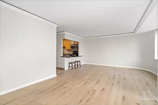 211 E Ohio St, Chicago, IL 60611 - Photo 12