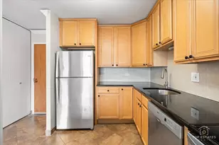 211 E Ohio St, Chicago, IL 60611 - Photo 16