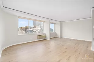 211 E Ohio St, Chicago, IL 60611 - Photo 8