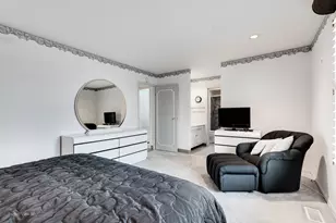 700 N Bruce Ln, Glenwood, IL 60425 - Photo 16