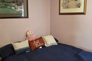 11337 S Parnell Ave, Chicago, IL 60628 - Photo 22