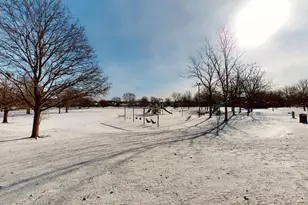 7164 Dexter Rd, Downers Grove, IL 60516 - Photo 44