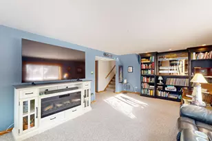 7164 Dexter Rd, Downers Grove, IL 60516 - Photo 30