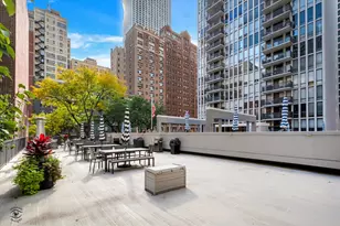 [Address not provided], Chicago, IL 60611 - Photo 18