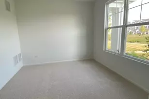 4515 Chelsea Mnr Cir, Aurora, IL 60504 - Photo 14