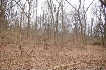 35W247 Fox River Drive, Saint Charles, IL 60174 - Photo 4