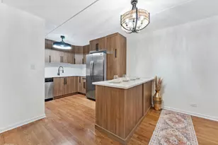 914 N Austin Blvd, Oak Park, IL 60302 - Photo 16