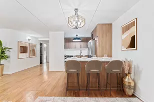 914 N Austin Blvd, Oak Park, IL 60302 - Photo 14