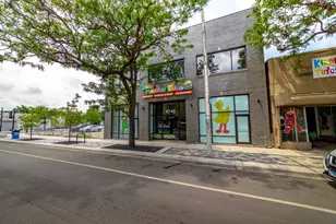 4748 S Ashland Ave, Chicago, IL 60609 - Photo 4